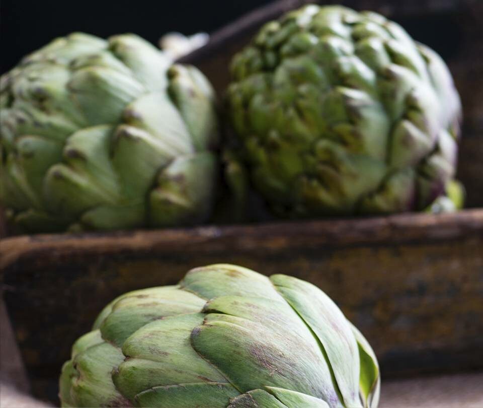 Les nostres conserves vegetals